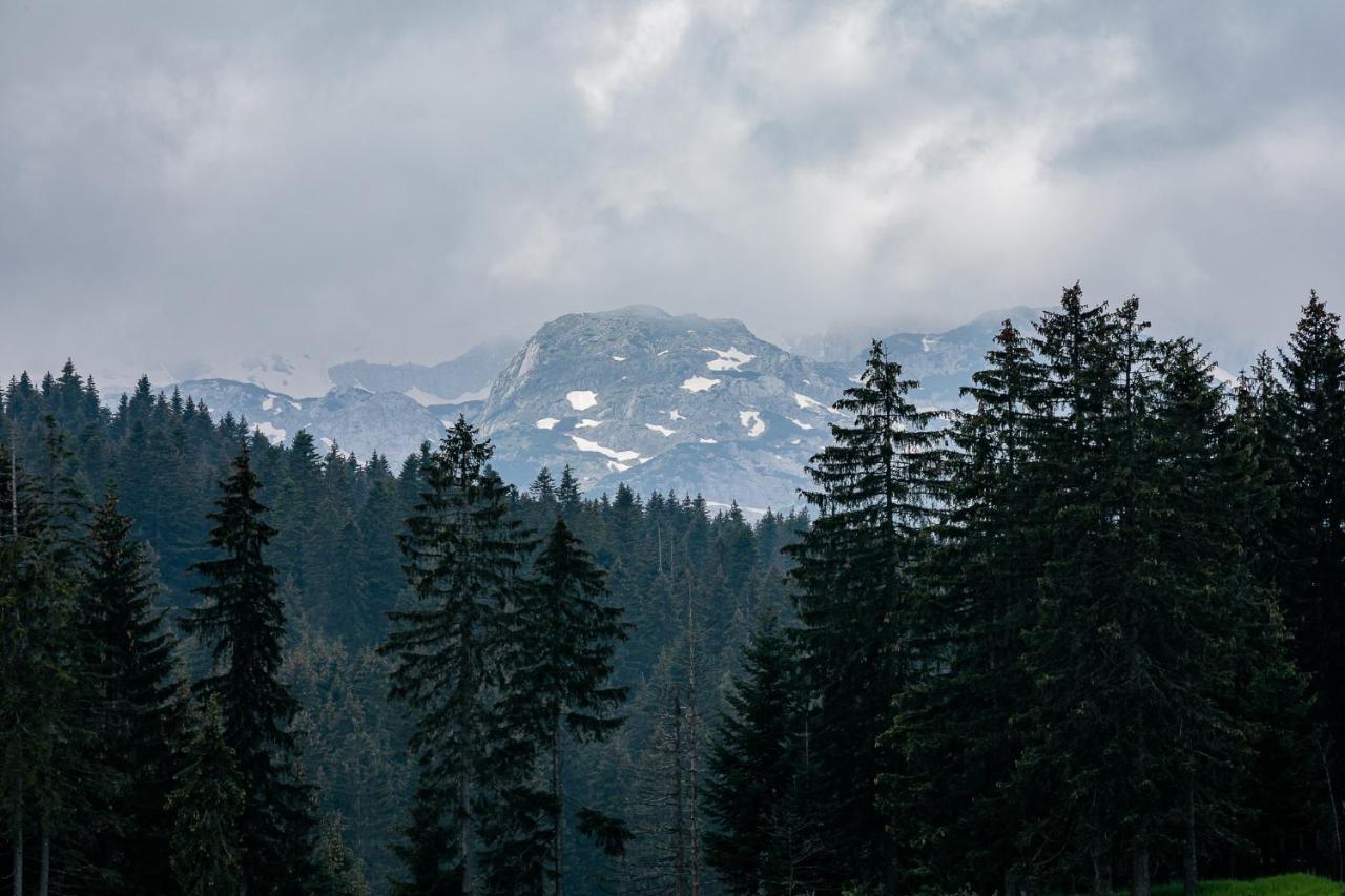 Forma Lux Zabljak المظهر الخارجي الصورة